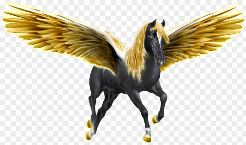 Pegasus Unicorn PNG