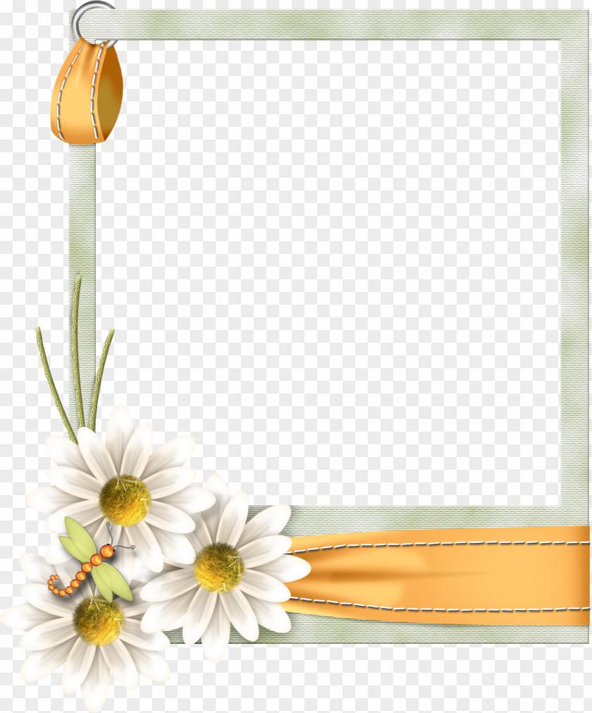 Picture Frames Image Snap Frame Vector Graphics PNG