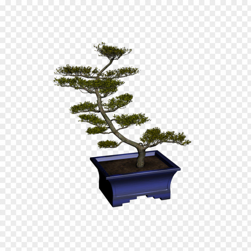 Bonsai Tree Room Interior Design Services PNG