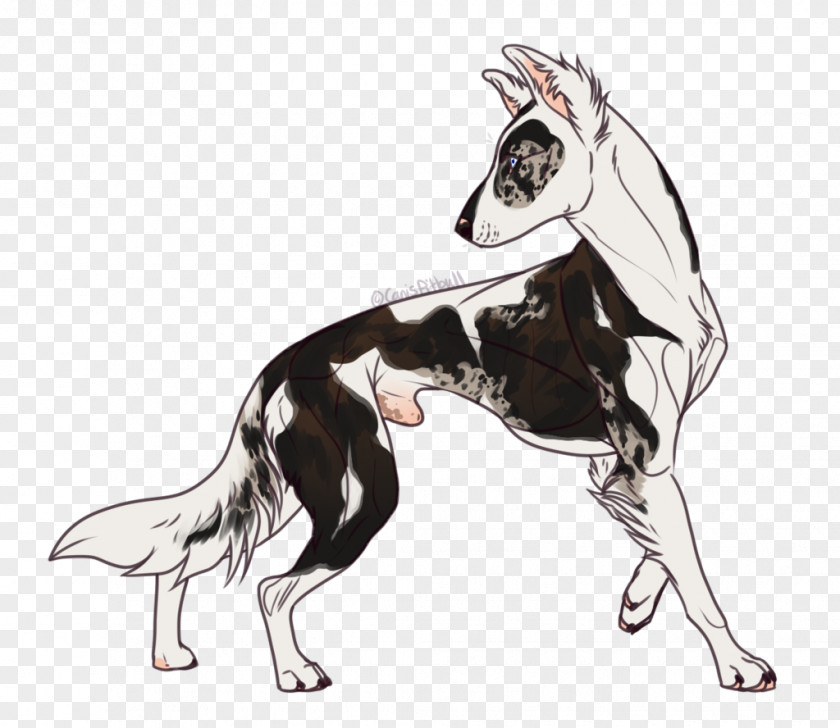 Border Collie Dog Breed Lurcher Drawing PNG