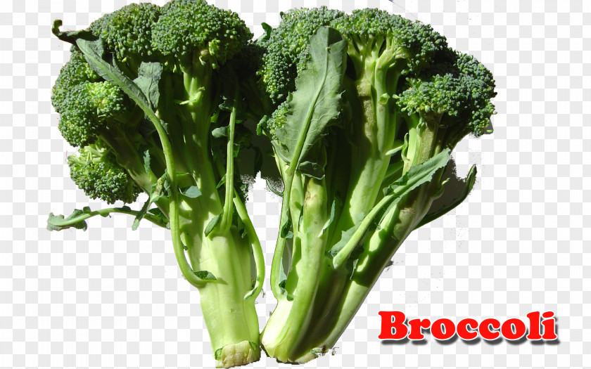 Broccoli Dairy Products Milk Food Calcium PNG