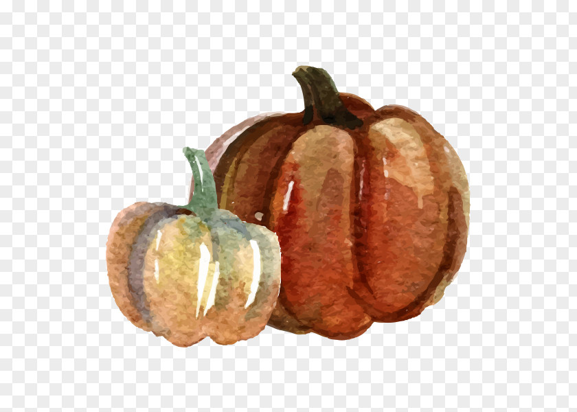 Hand Painted Watercolor Pumpkin Painting PNG