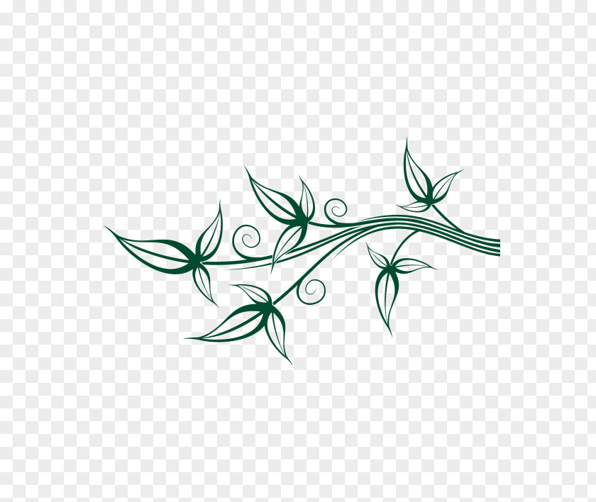 Leaf Twig Plant Stem Flower Clip Art PNG