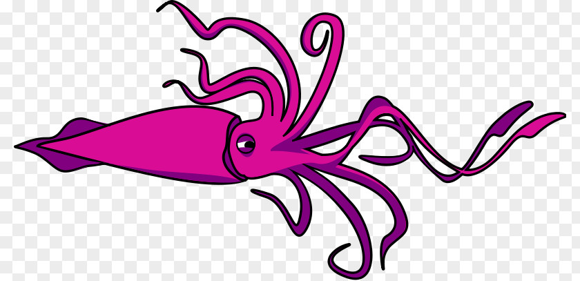Squid Cliparts Free Content Clip Art PNG