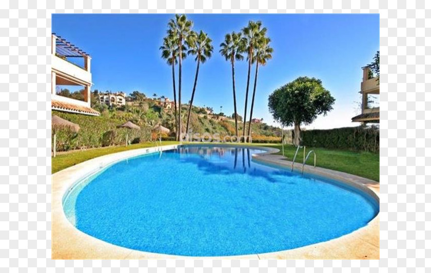 Vacation Swimming Pool Majorelle Blue Garden Property Water Resources PNG
