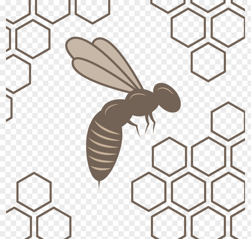 Vector Bee Nest Honey Honeycomb Beehive Pattern PNG