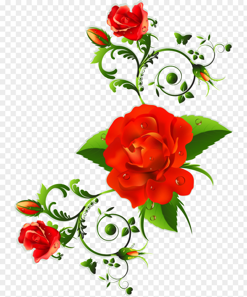 Floral Flowers PNG