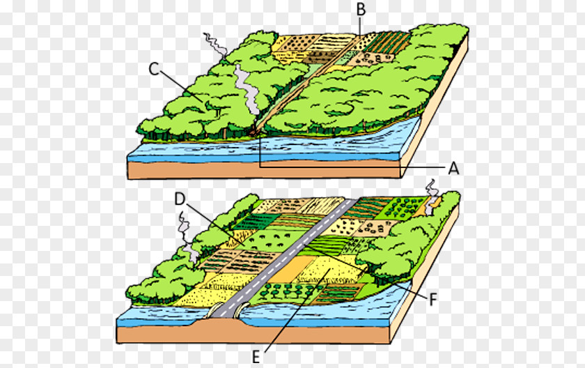 Javan Tiger Water Resources Grasses Ecoregion Plant Community Recreation PNG