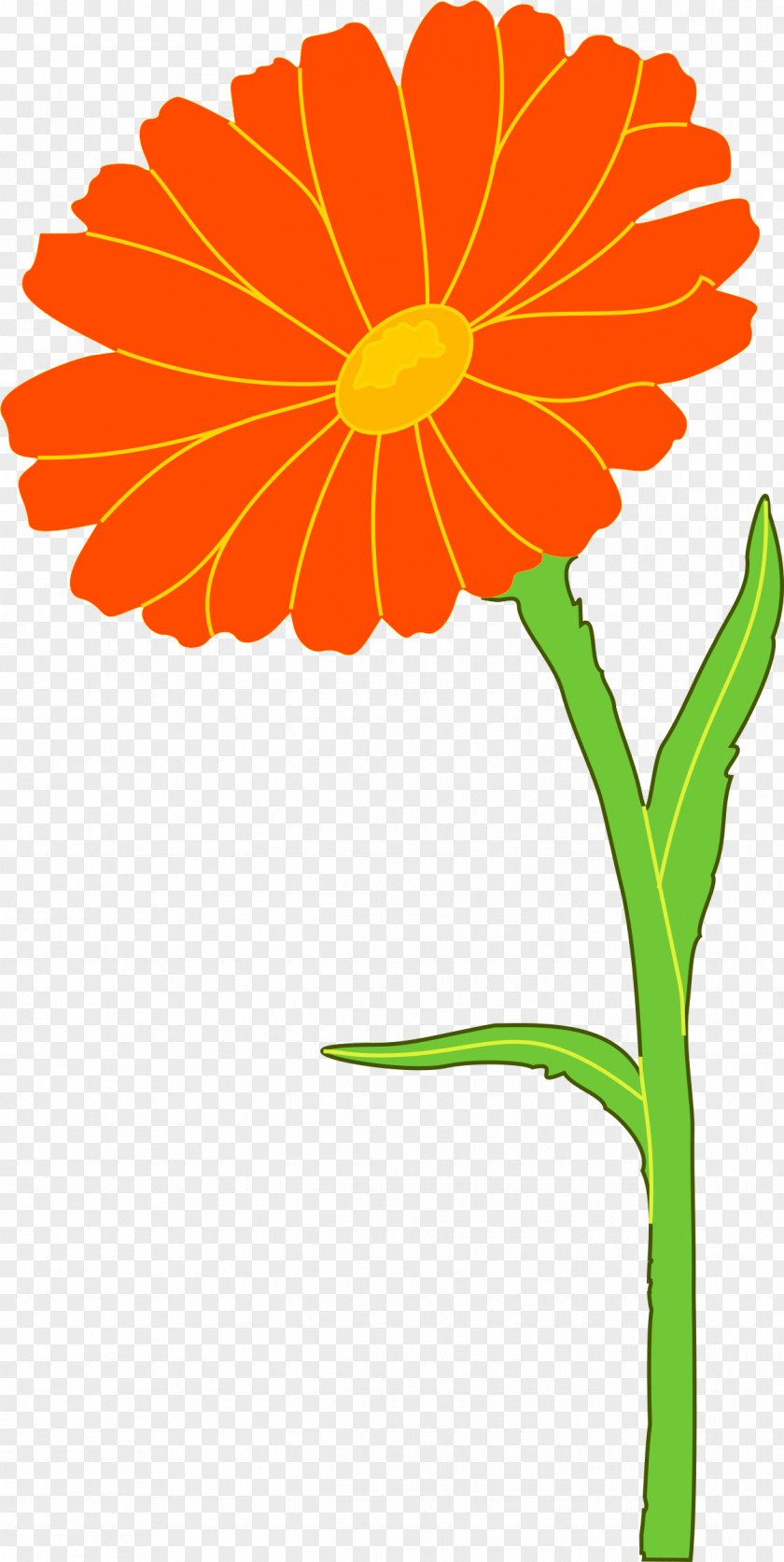 Marigold Mexican Calendula Officinalis Flower Clip Art PNG
