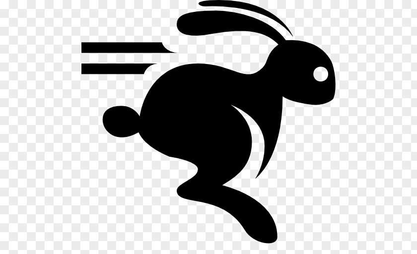 Rabbit Running PNG