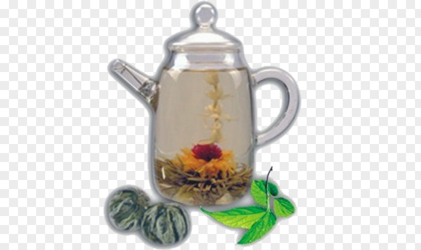 Tea Flowering White Oolong Green PNG