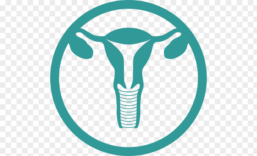 Uterus Medicine Uterine Fibroid Endometrium PNG