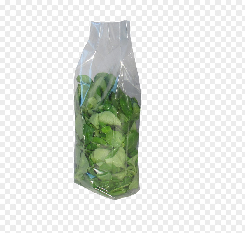 Vegetable Herb Vacuum Packing Liquid PNG