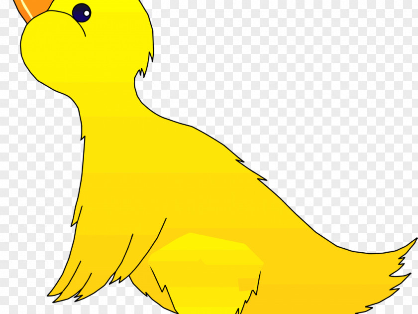 Bird Duck Clip Art PNG