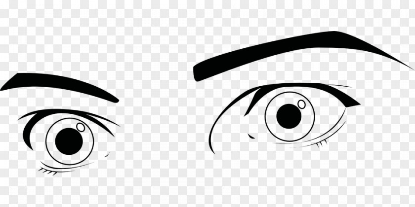 Eye Eyebrow Clip Art PNG