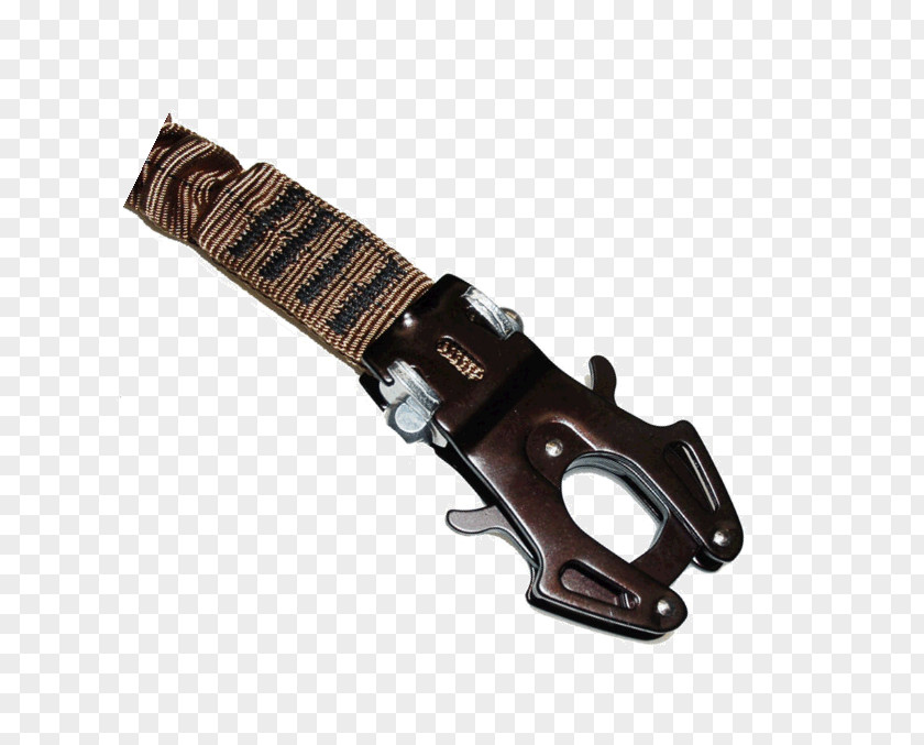 Seat Belt Lanyard Garmin Key Chains Carabiner Frog PNG