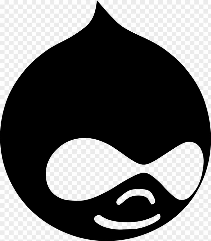 网络 Web Development Drupal CodeOasis Hosting Service PNG
