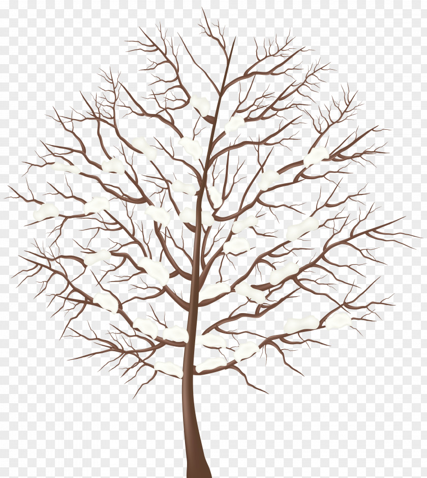 Winter Tree Transparent Clip Art Image PNG