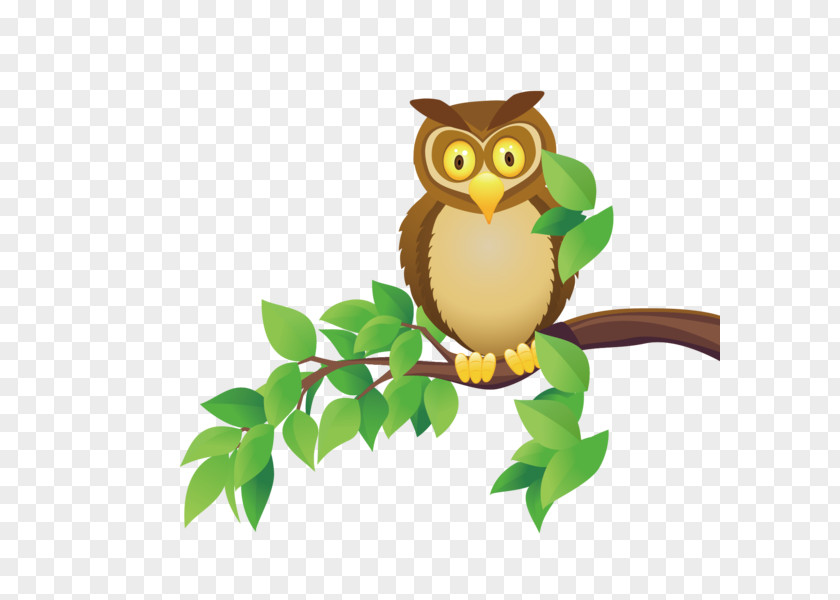 Animal Figure Screech Owl Cartoon PNG