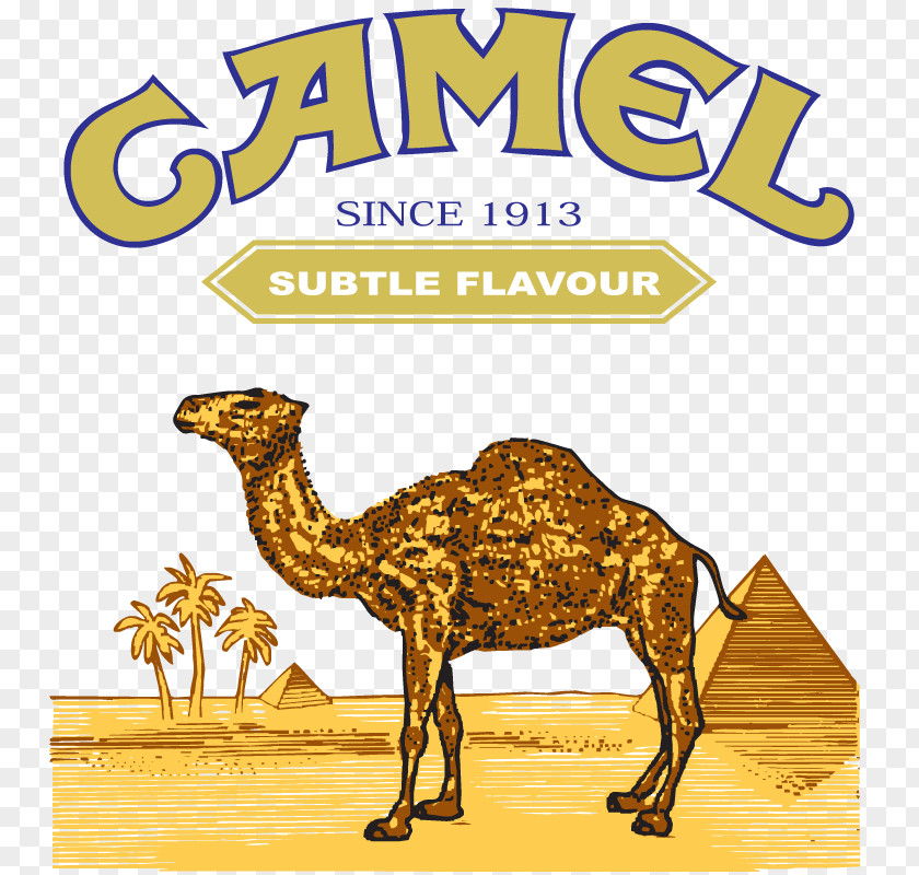 Cigarettes Dromedary Bactrian Camel Logo PNG
