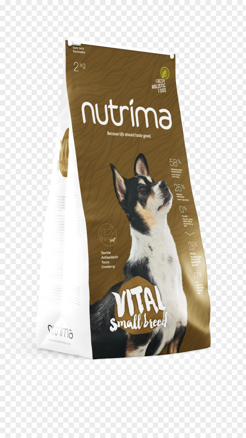 Dog Brand PNG