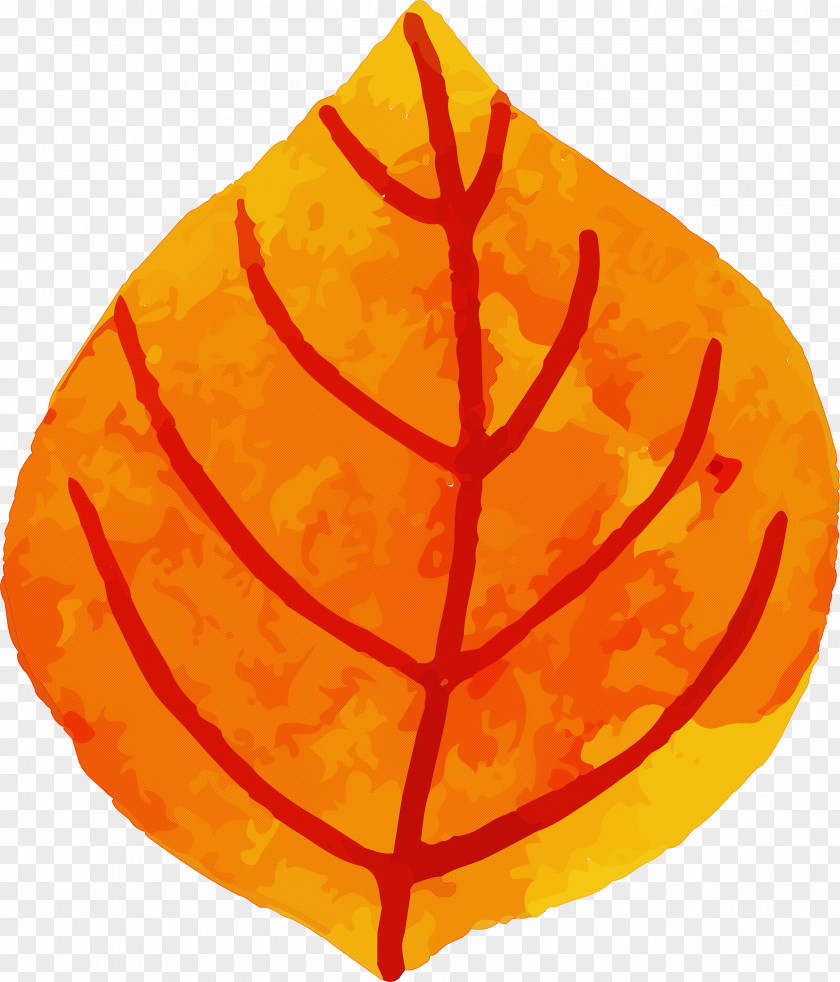 Fruit Tree PNG