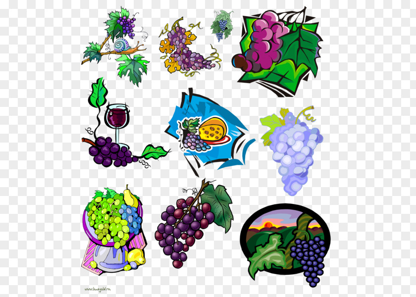 Grape Grapevines Fruit Clip Art PNG