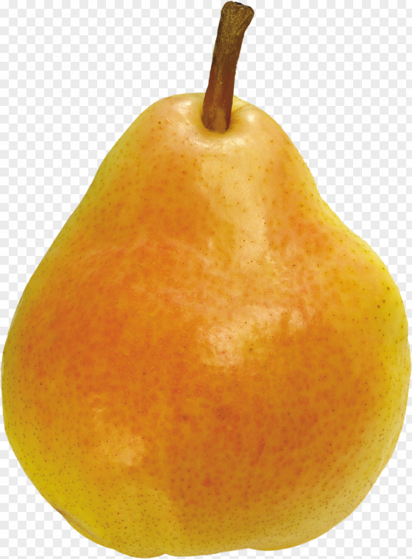 Ripe Pear Image Fruit Salad Computer File PNG