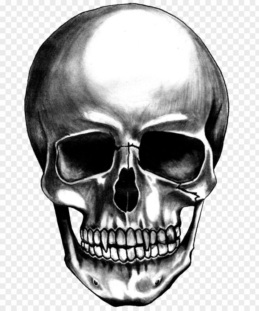 Skull Desktop Wallpaper PNG