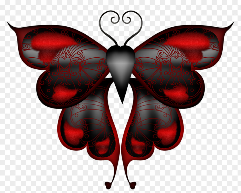 Butterfly Insect Butterflies In Colour Clip Art PNG