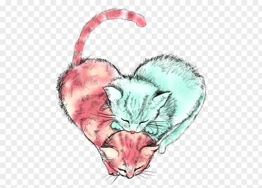 Cat Cats Protection Kitten Drawing PNG