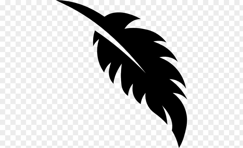 Feather Clip Art PNG