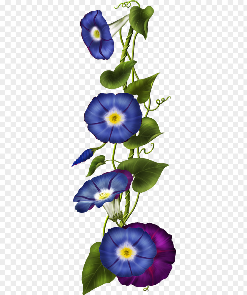 Flower Floral Design Download Clip Art PNG