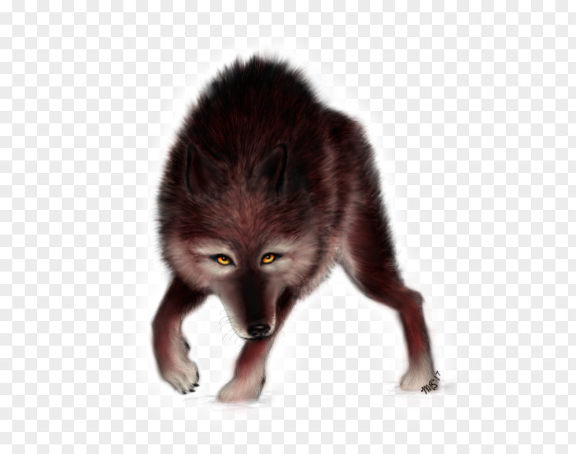 Fox Red Fur Fauna Snout PNG
