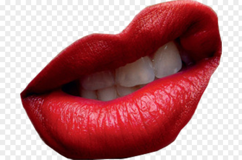 Lip Clip Art PNG