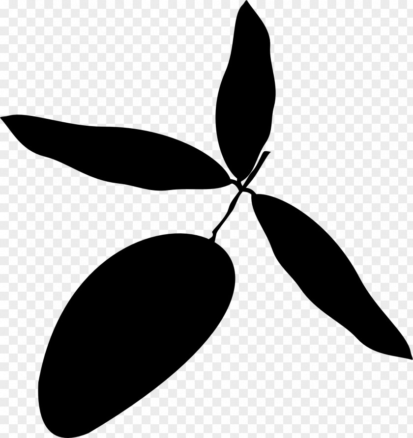 M Silhouette Plant Stem Leaf Clip Art Black & White PNG