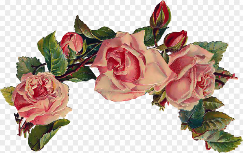 Rose Garden Roses Flower Paper Clip Art PNG
