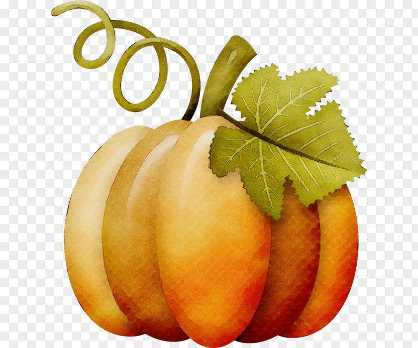 Tree Food Autumn Watercolor PNG