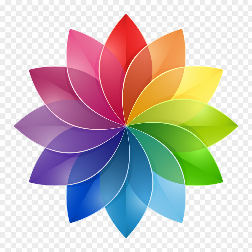 Cmyk Color Wheel Interior Design Services Theory PNG