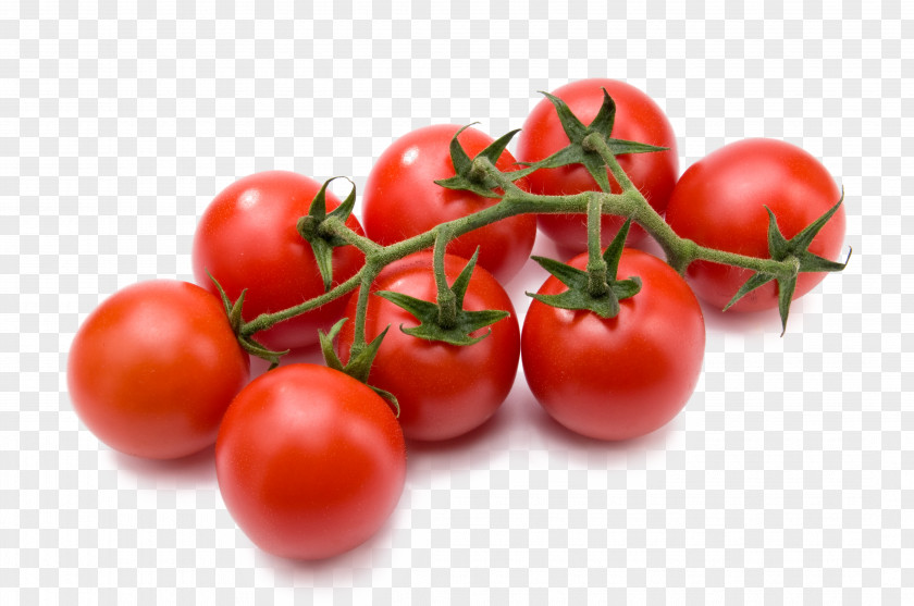 Fresh Tomatoes Cherry Tomato Vegetable Gratis PNG