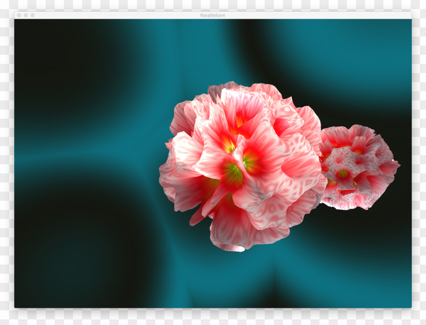 Mesh Shading Flowering Plant Petal Desktop Wallpaper PNG