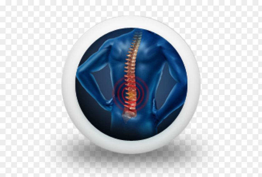 Pain In Spine Low Back Human Neck Lumbar PNG