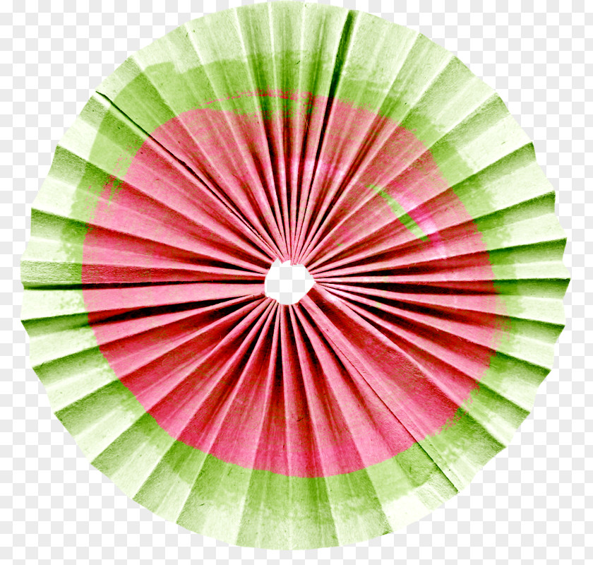 Paper Fan Tomato Watermelon Kiwifruit PNG