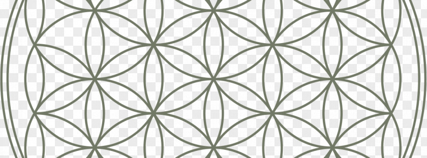 Power Of Yoga Overlapping Circles Grid Sacred Geometry Golden Ratio Flower Shine PNG
