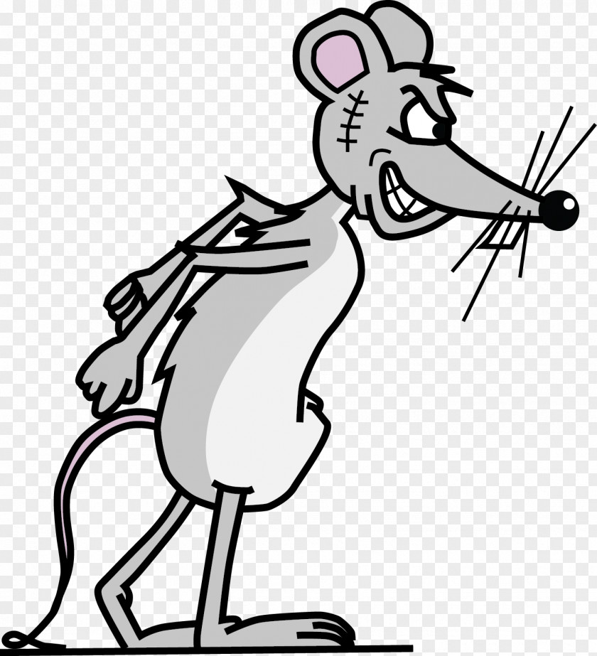 Rat Rodent Solutions Inc Mouse PNG