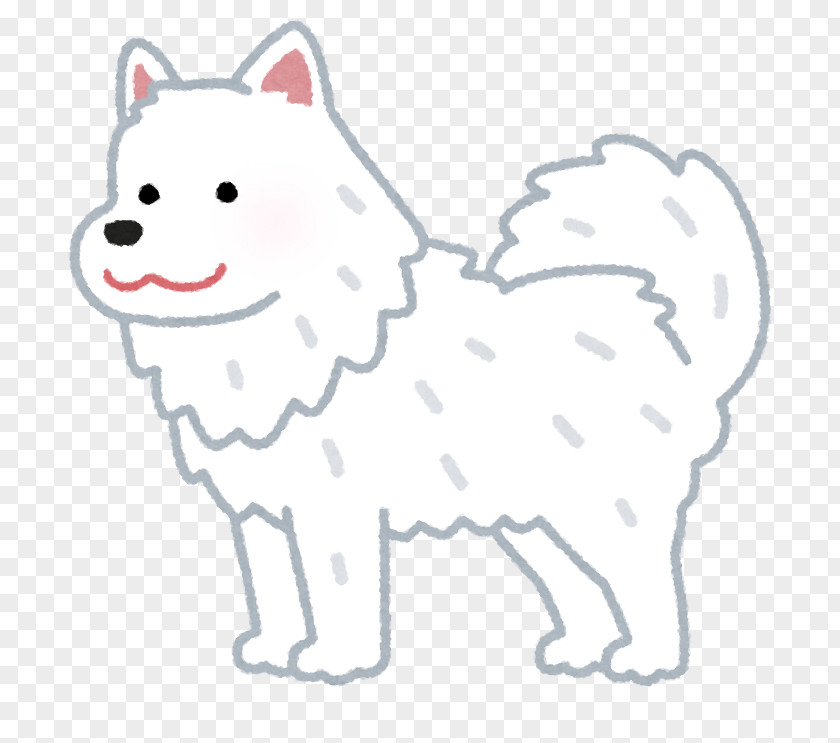 Samoyed Dog 放課後等デイサービス オレンジスクール 小岩教室 Smartphone Hokkaido MAD Movie PNG