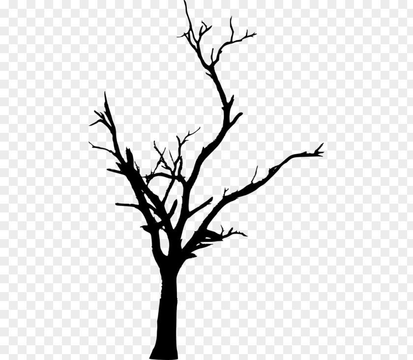 Tree Twig Branch Clip Art PNG