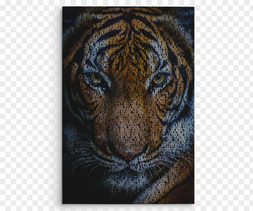 Asian Tiger Coolpad Note 5 Lite Samsung Galaxy Group Limited Telephone PNG