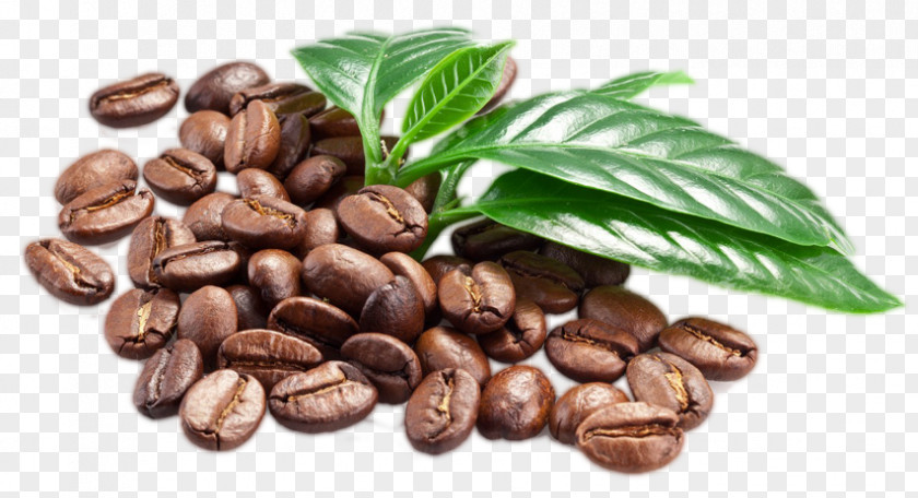 Beens Jamaican Blue Mountain Coffee Caffè Macchiato Espresso Bean PNG