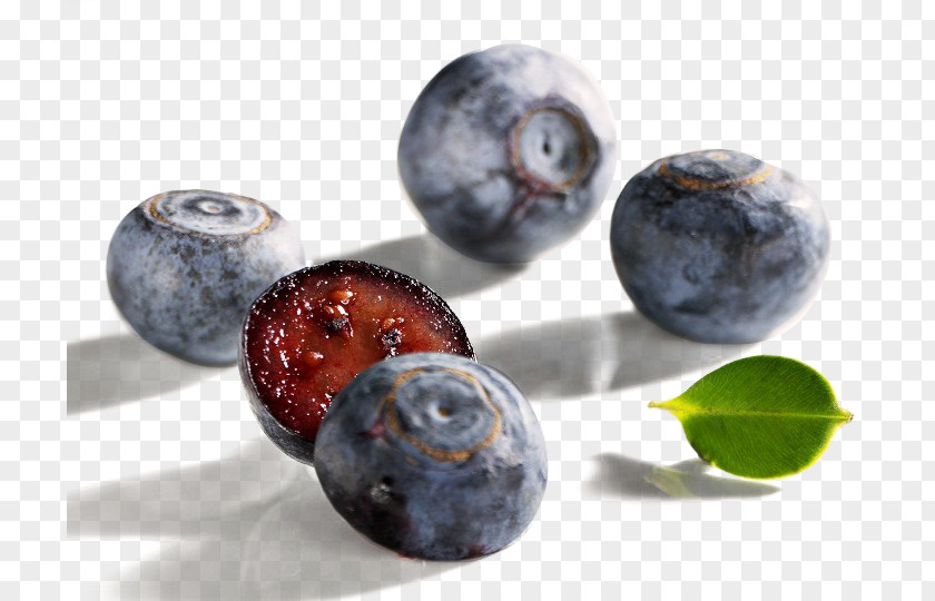 Blueberry Fruit Juicy Bilberry Clip Art PNG